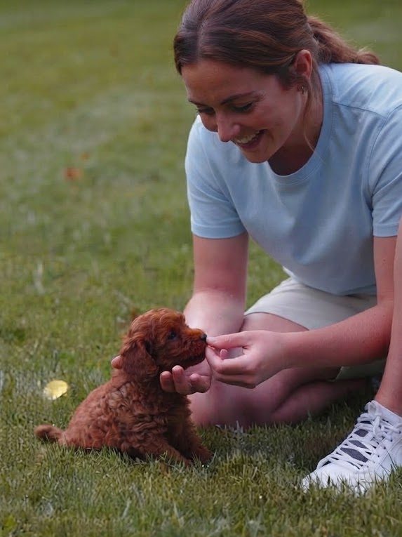 Warm, professional photo of the breeder holding a playful mini golden doodle puppy in a natural setting.