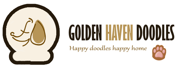 Golden Doodle