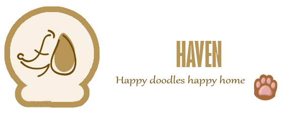 Golden Doodle